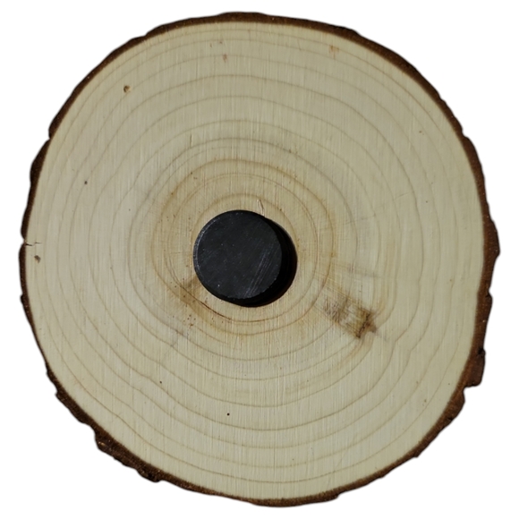 Anna's Creations Hand Crafted Painted Wood Round Magnet Mesa Morning Pine Tree - Picture 2 of 2